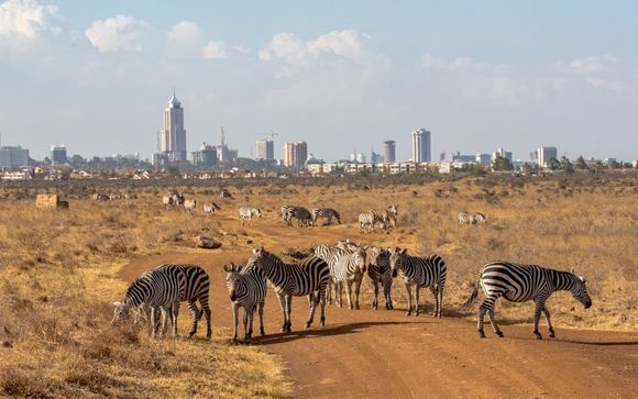 Ihre Reise im Detail