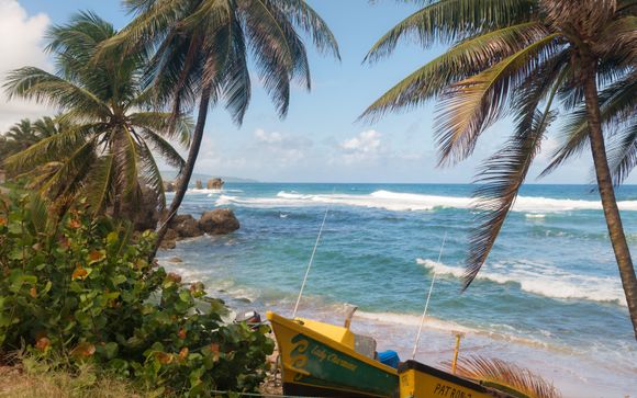 Willkommen auf Barbados