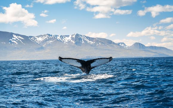 Ihre Rundreise im Detail