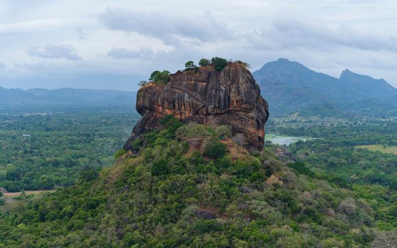 Ihr Programm im Detail
