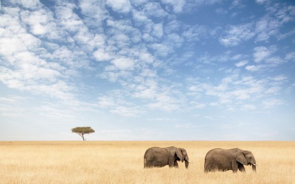 Willkommen in Kenia!