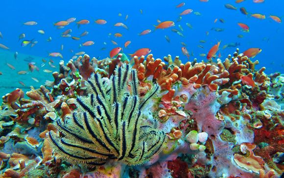 Ihre Rundreise im Detail