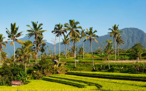 Ihre Rundreise im Detail