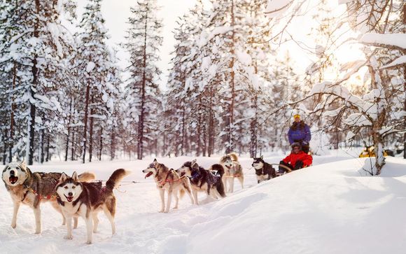 Im Angebot enthalten