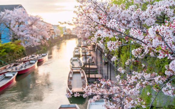 Zoom sur votre programme