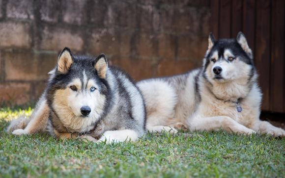 Ihre Ausflugsoptionen