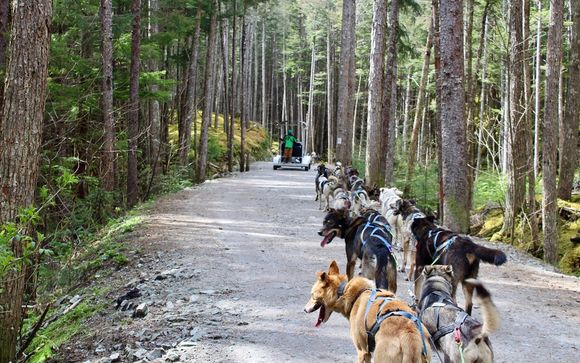 Ihre Ausflugsoptionen
