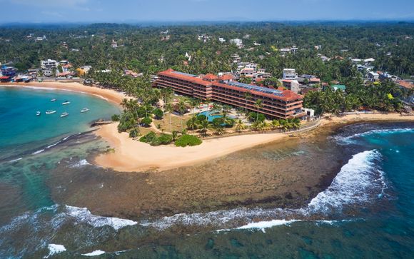 Hikka Tranz by Cinnamon 4*