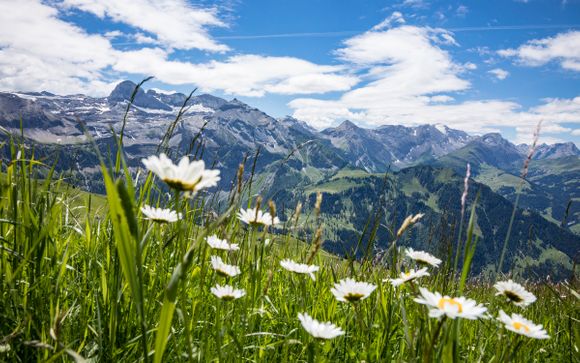 Willkommen in Lenk im Simmental