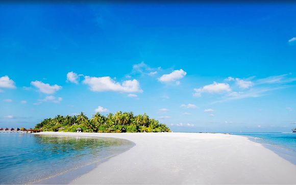 Willkommen auf... den Malediven!