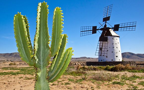 Willkommen auf... Fuerteventura!