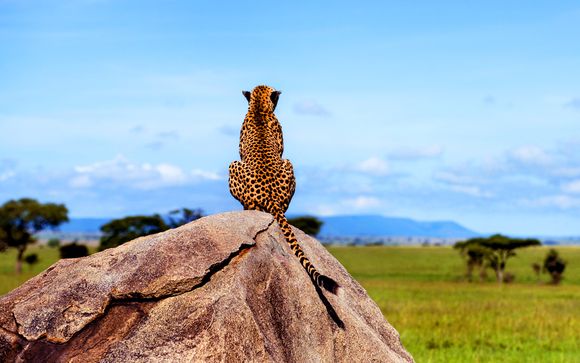 Willkommen in ... Tansania
