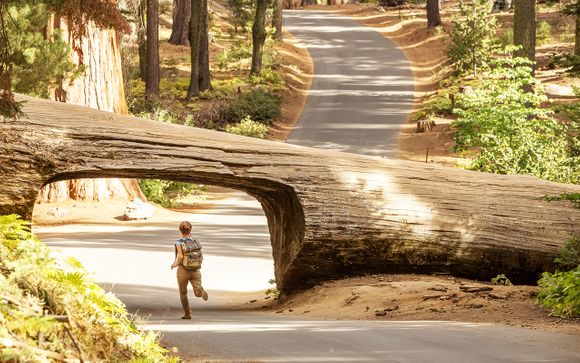 Ihre Rundreise im Detail