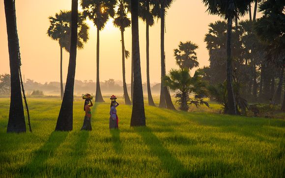 Ihre Option auf Bali