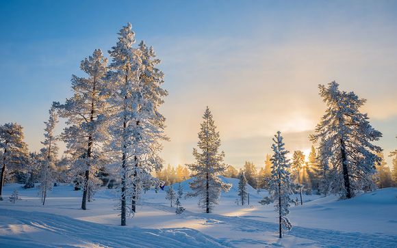 Willkommen in... Lappland!