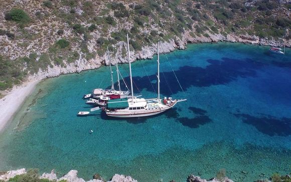 Willkommen an... Bord!