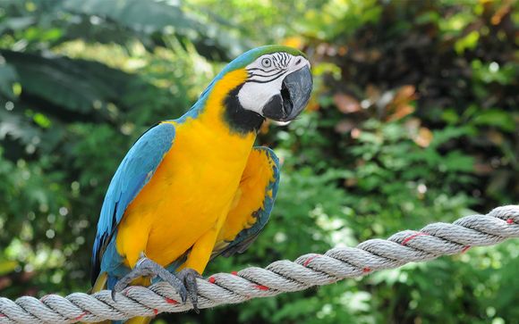 Ihre Rundreise: 10 Nächte