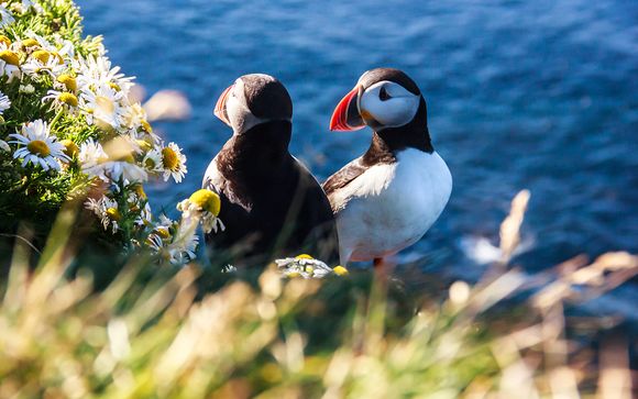 Ihre Rundreise im Detail