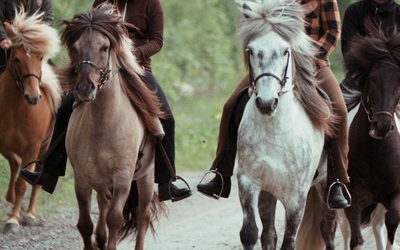 Ihr Freizeit- und Wellnessangebot