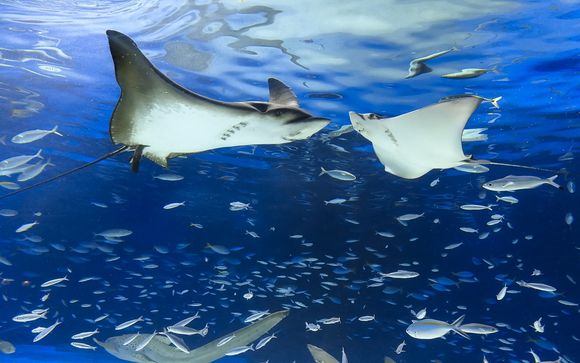 Ihre Informationen zum Transport