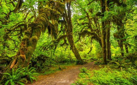 Ihre Rundreise im Detail