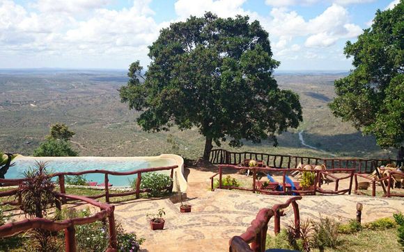 Ihre Safari-Optionen