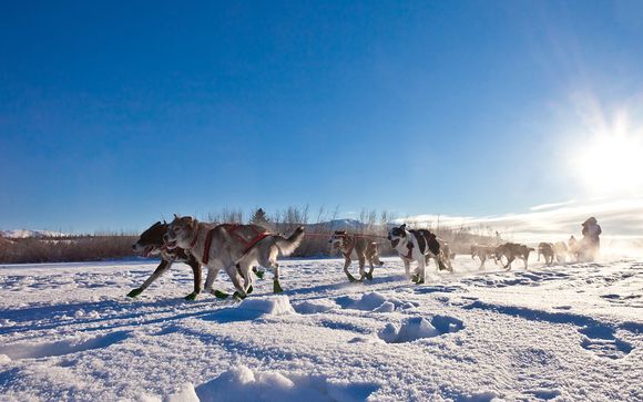 Willkommen in... Kanada und New York City!