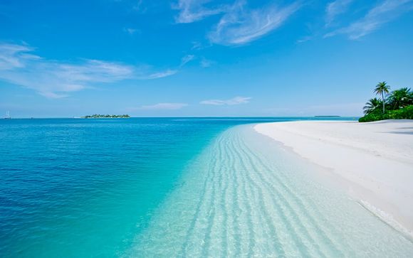 Willkommen auf den... Malediven!