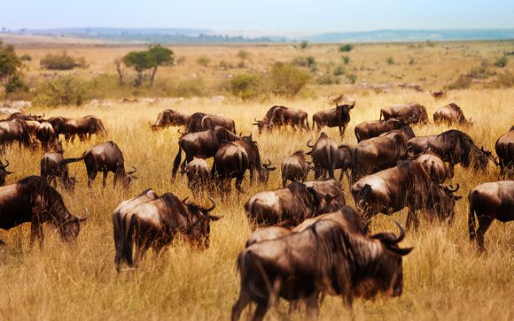 Willkommen in.... Kenia!