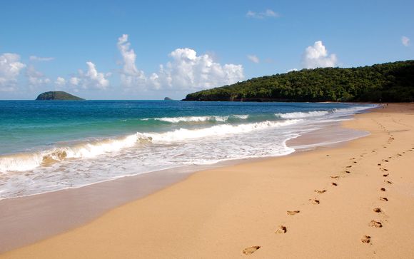 Willkommen auf... Guadeloupe!