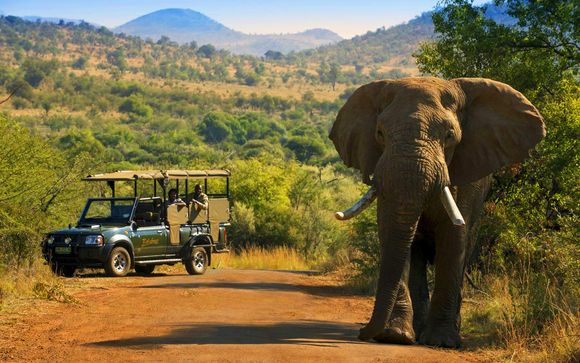 Willkommen in... Südafrika und Mauritius!