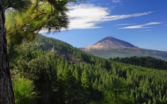 Willkommen auf... Teneriffa!