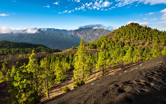 Willkommen auf ... La Palma!