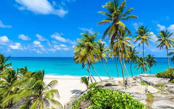 Willkommen auf... der Insel Barbados!