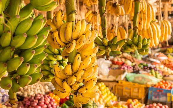 Ihre Rundreise im Detail