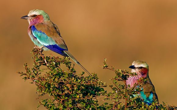 Ihre Rundreise im Detail