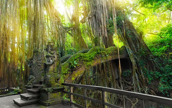 Willkommen auf... Bali!