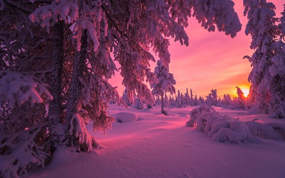 Willkommen in... Lappland!