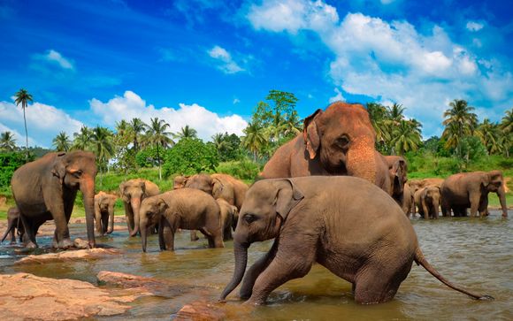 Ihre Rundreise im Detail