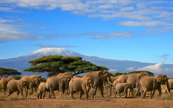 Rendez-vous... en Tanzanie