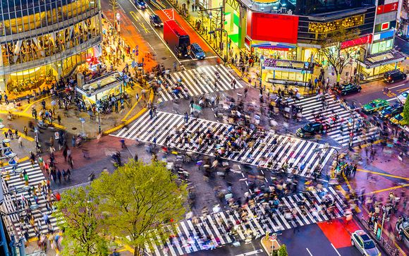 Ihre Rundreise im Detail