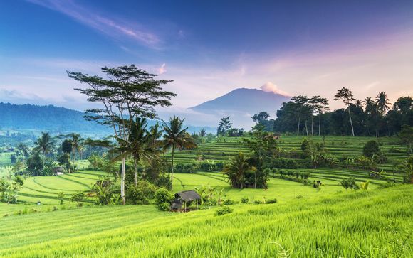 Willkommen in... Bali!