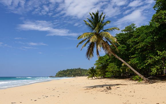 Willkommen in... Punta Cana!