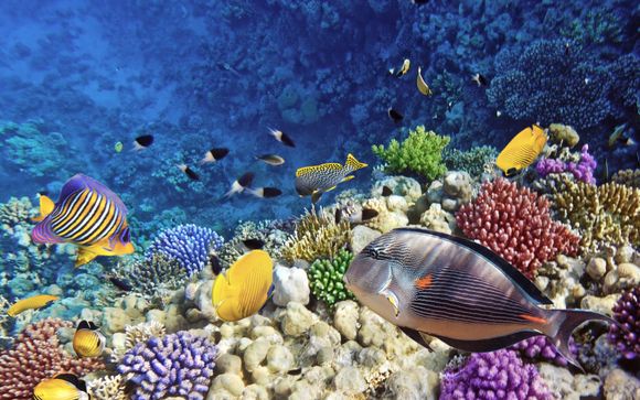 Ihre Kreuzfahrt im Detail