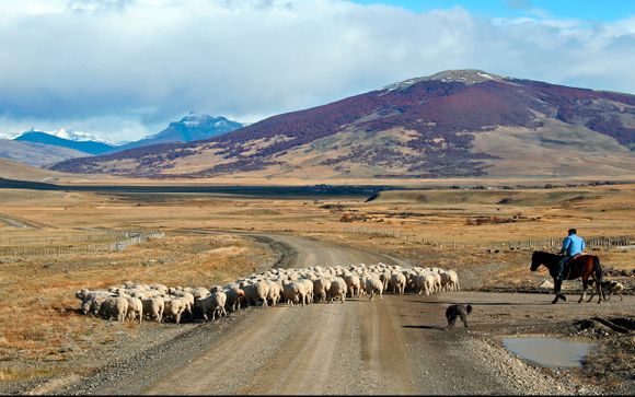 Ihre Rundreise im Detail