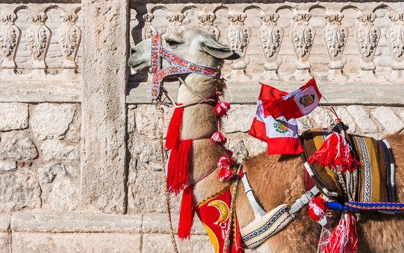 Unsere kleinen Tipps für einen perfekten Aufenthalt