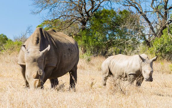 Buchen Sie eine Option für Ihren Ausflug