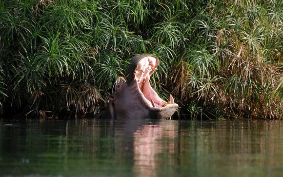 Ihre Rundreise im Detail
