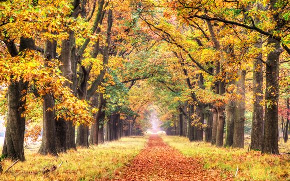 Willkommen in... Wageningen!