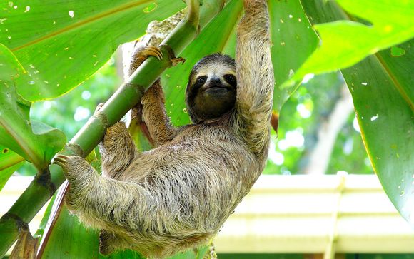  Unsere Tipps für einen idealen Aufenthalt 